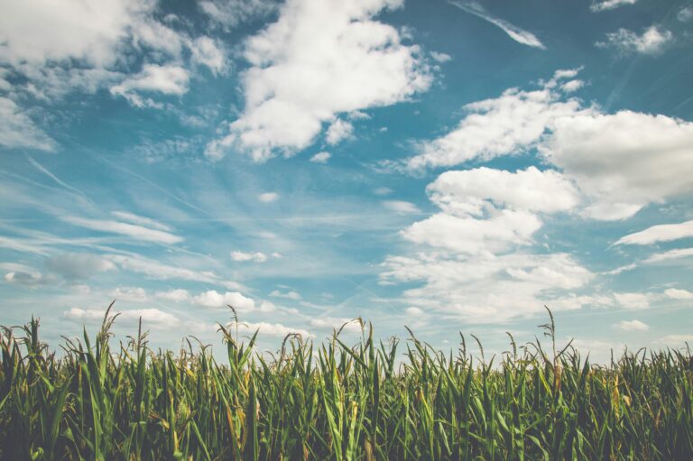 7 Sanity-Saving Tips for Handling Sensory Overload During the Summer
